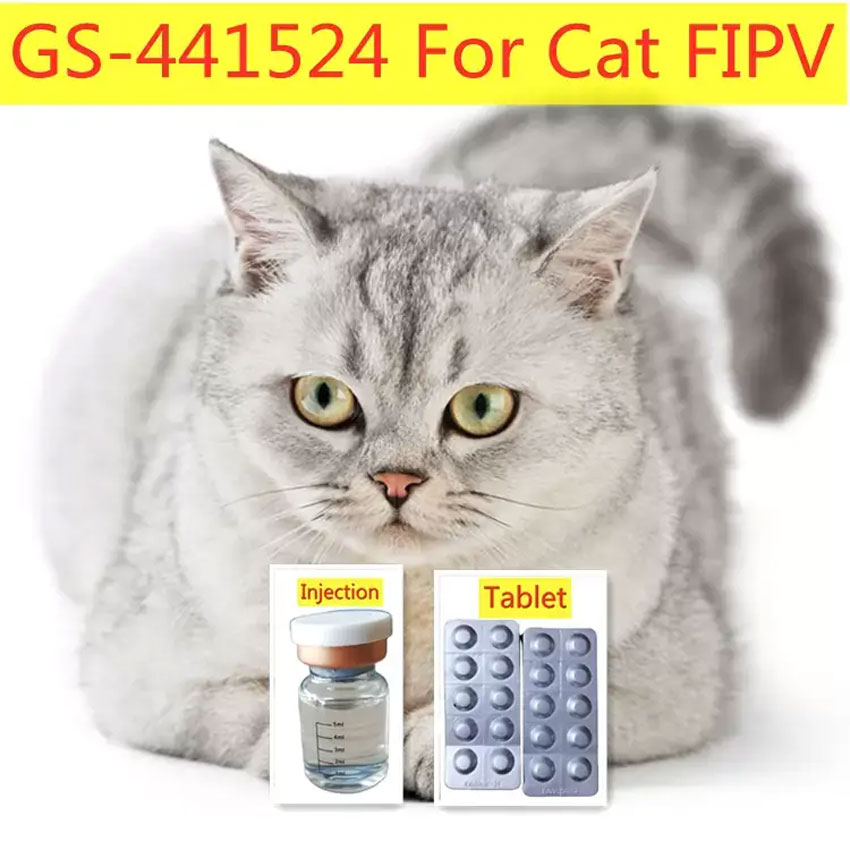 GS-441524 FIP tablets for cat